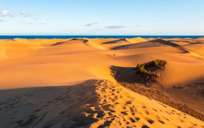 Guía de Fuerteventura Parque Natural Dunas de Corralejo